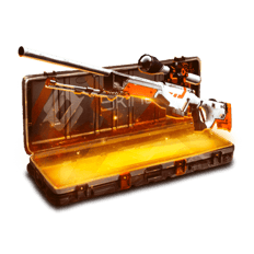 StatTrak™